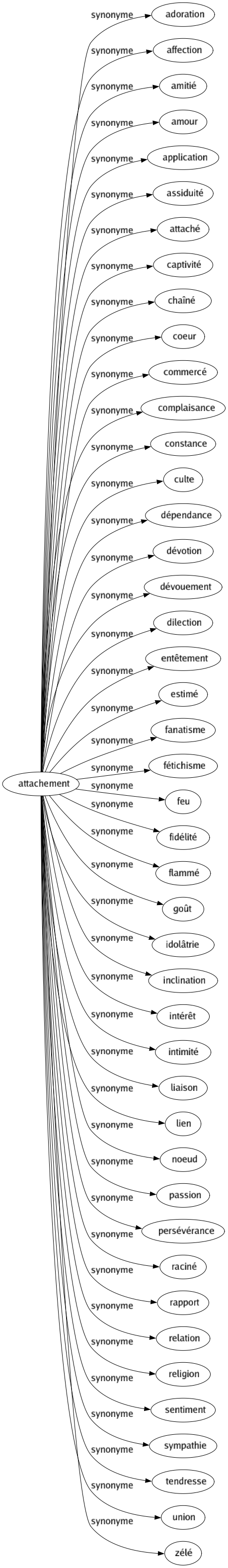 Synonyme de Attachement : Adoration Affection Amitié Amour Application Assiduité Attaché Captivité Chaîné Coeur Commercé Complaisance Constance Culte Dépendance Dévotion Dévouement Dilection Entêtement Estimé Fanatisme Fétichisme Feu Fidélité Flammé Goût Idolâtrie Inclination Intérêt Intimité Liaison Lien Noeud Passion Persévérance Raciné Rapport Relation Religion Sentiment Sympathie Tendresse Union Zélé 