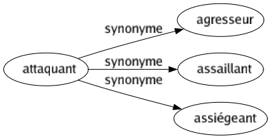 Synonyme de Attaquant : Agresseur Assaillant Assiégeant 