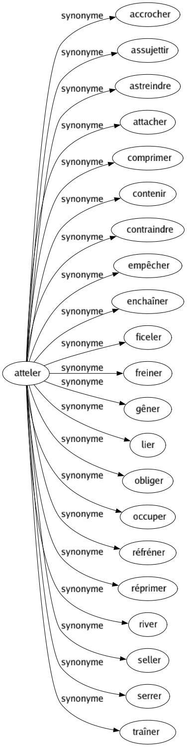 Synonyme de Atteler : Accrocher Assujettir Astreindre Attacher Comprimer Contenir Contraindre Empêcher Enchaîner Ficeler Freiner Gêner Lier Obliger Occuper Réfréner Réprimer River Seller Serrer Traîner 