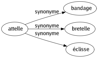 Synonyme de Attelle : Bandage Bretelle Éclisse 