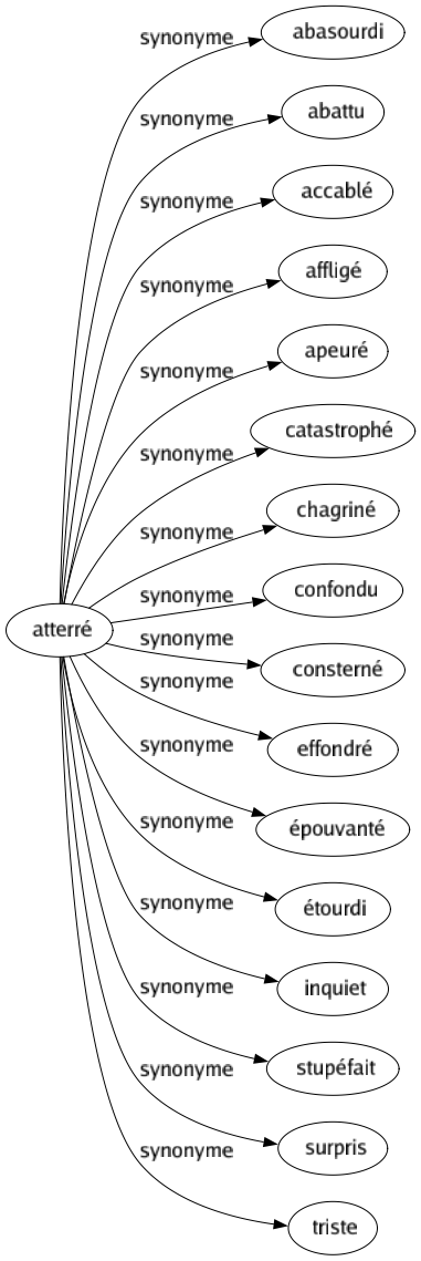 Synonyme de Atterré : Abasourdi Abattu Accablé Affligé Apeuré Catastrophé Chagriné Confondu Consterné Effondré Épouvanté Étourdi Inquiet Stupéfait Surpris Triste 