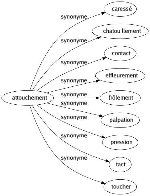 Synonyme de Attouchement : Caressé Chatouillement Contact Effleurement Frôlement Palpation Pression Tact Toucher 
