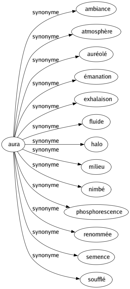 Synonyme de Aura : Ambiance Atmosphère Auréolé Émanation Exhalaison Fluide Halo Milieu Nimbé Phosphorescence Renommée Semence Soufflé 