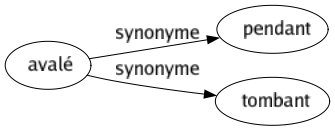 Synonyme de Avalé : Pendant Tombant 