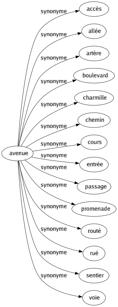 Synonyme de Avenue : Accès Allée Artère Boulevard Charmille Chemin Cours Entrée Passage Promenade Routé Rué Sentier Voie 