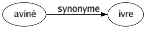 Synonyme de Aviné : Ivre 