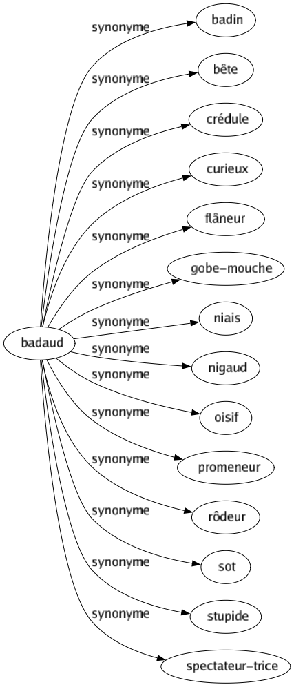 Synonyme de Badaud : Badin Bête Crédule Curieux Flâneur Gobe-mouche Niais Nigaud Oisif Promeneur Rôdeur Sot Stupide Spectateur-trice 