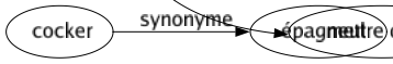 Synonyme de Balayer : Abolir Anéantir Annihiler Balancer Bazarder Brosser Chasser Congédier Débarrasser Déblayer Dégager Disperser Dissiper Écarter Éclaircir Éclairer Écraser Emporter Épousseter Fouiller Frotter Lessiver Liquider Nettoyer Pousser Pulvériser Purger Purifier Récurer Refouler Rejeter Remercier Renvoyer Repousser Ruiner Souffler Supprimer Traîner Vider Se débarrasser Faire disparaître Donner son compte Ficher à la porte Foutre à la porte Mettre à la porte Mettre dehors 
