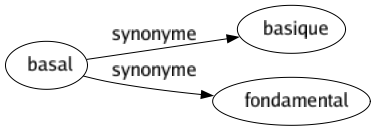 Synonyme de Basal : Basique Fondamental 
