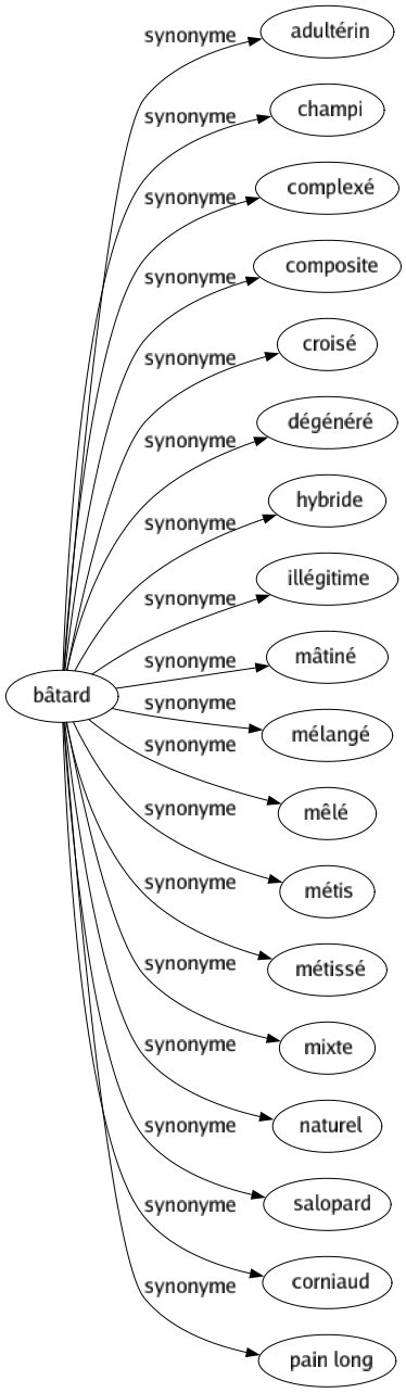 Synonyme de Bâtard : Adultérin Champi Complexé Composite Croisé Dégénéré Hybride Illégitime Mâtiné Mélangé Mêlé Métis Métissé Mixte Naturel Salopard Corniaud Pain long 
