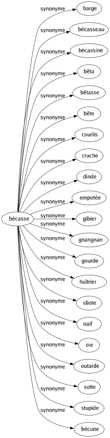 Synonyme de Bécasse : Barge Bécasseau Bécassine Bêta Bêtasse Bête Courlis Cruche Dinde Empotée Gibier Gnangnan Gourde Huîtrier Idiote Naïf Oie Outarde Sotte Stupide Bécune 