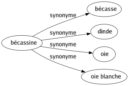 Synonyme de Bécassine : Bécasse Dinde Oie Oie blanche 