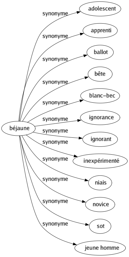 Synonyme de Béjaune : Adolescent Apprenti Ballot Bête Blanc-bec Ignorance Ignorant Inexpérimenté Niais Novice Sot Jeune homme 