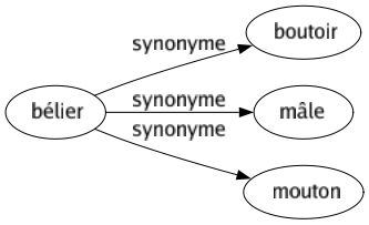 Synonyme de Bélier : Boutoir Mâle Mouton 