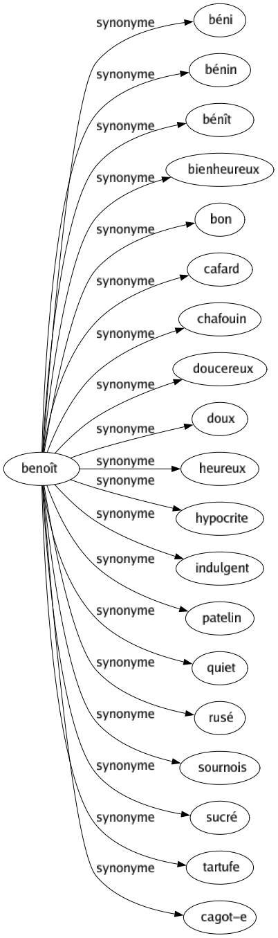 Synonyme de Benoît : Béni Bénin Bénît Bienheureux Bon Cafard Chafouin Doucereux Doux Heureux Hypocrite Indulgent Patelin Quiet Rusé Sournois Sucré Tartufe Cagot-e 