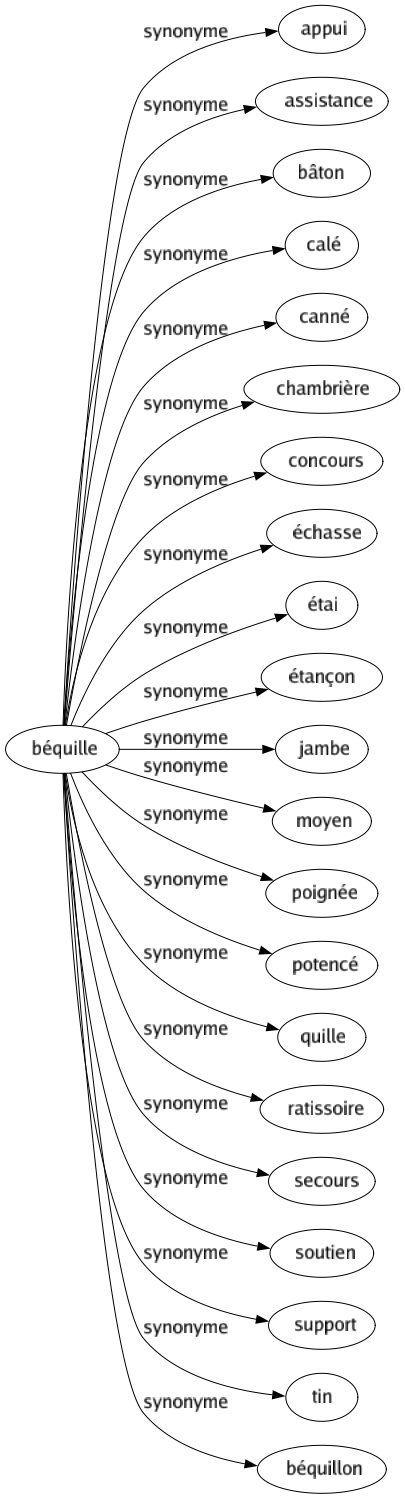 Synonyme de Béquille : Appui Assistance Bâton Calé Canné Chambrière Concours Échasse Étai Étançon Jambe Moyen Poignée Potencé Quille Ratissoire Secours Soutien Support Tin Béquillon 