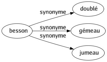 Synonyme de Besson : Doublé Gémeau Jumeau 