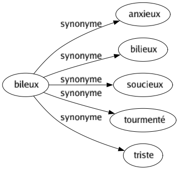 Synonyme de Bileux : Anxieux Bilieux Soucieux Tourmenté Triste 