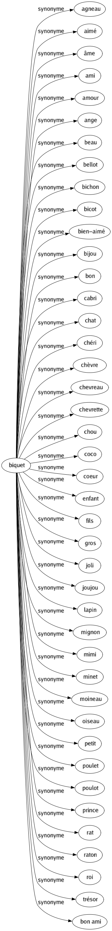 Synonyme de Biquet : Agneau Aimé Âme Ami Amour Ange Beau Bellot Bichon Bicot Bien-aimé Bijou Bon Cabri Chat Chéri Chèvre Chevreau Chevrette Chou Coco Coeur Enfant Fils Gros Joli Joujou Lapin Mignon Mimi Minet Moineau Oiseau Petit Poulet Poulot Prince Rat Raton Roi Trésor Bon ami 