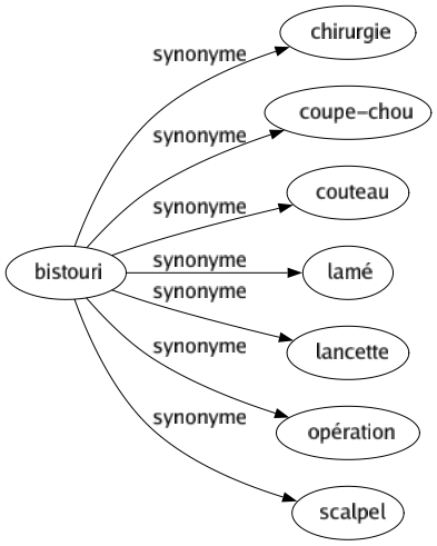 Synonyme de Bistouri : Chirurgie Coupe-chou Couteau Lamé Lancette Opération Scalpel 