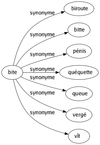 Synonyme de Bite : Biroute Bitte Pénis Quéquette Queue Vergé Vît 