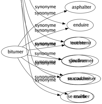 Synonyme de Bitumer : Asphalter Enduire Entretenir Goudronner Macadamiser Revêtir 