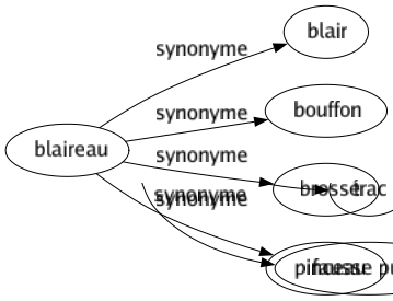 Synonyme de Blaireau : Blair Bouffon Brossé Pinceau 