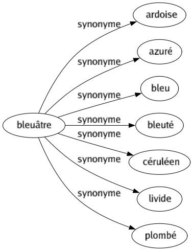 Synonyme de Bleuâtre : Ardoise Azuré Bleu Bleuté Céruléen Livide Plombé 