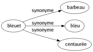 Synonyme de Bleuet : Barbeau Bleu Centaurée 