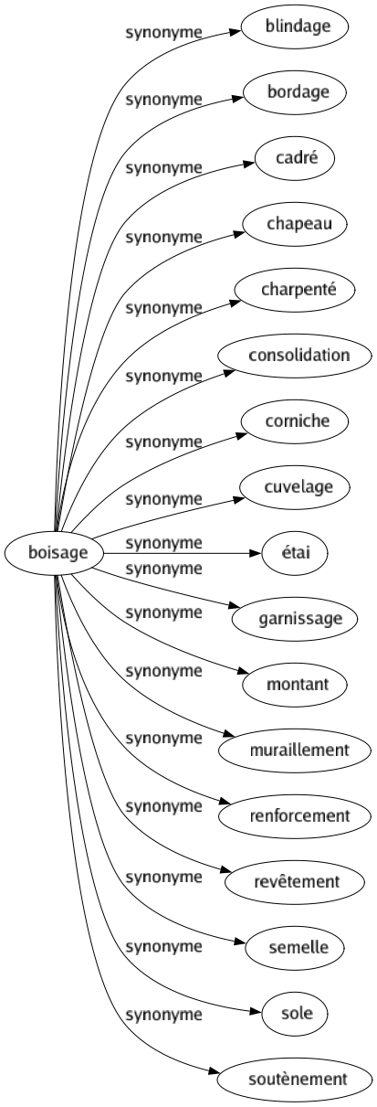 Synonyme de Boisage : Blindage Bordage Cadré Chapeau Charpenté Consolidation Corniche Cuvelage Étai Garnissage Montant Muraillement Renforcement Revêtement Semelle Sole Soutènement 