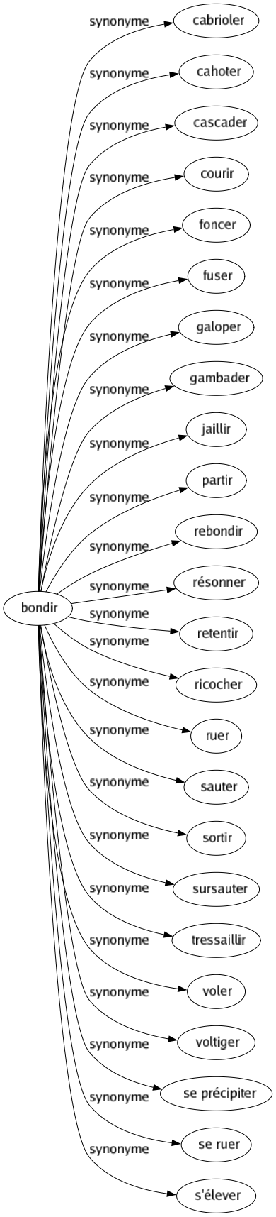 Synonyme de Bondir : Cabrioler Cahoter Cascader Courir Foncer Fuser Galoper Gambader Jaillir Partir Rebondir Résonner Retentir Ricocher Ruer Sauter Sortir Sursauter Tressaillir Voler Voltiger Se précipiter Se ruer S'élever 