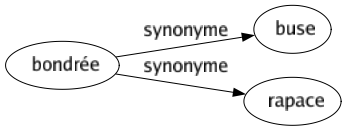 Synonyme de Bondrée : Buse Rapace 