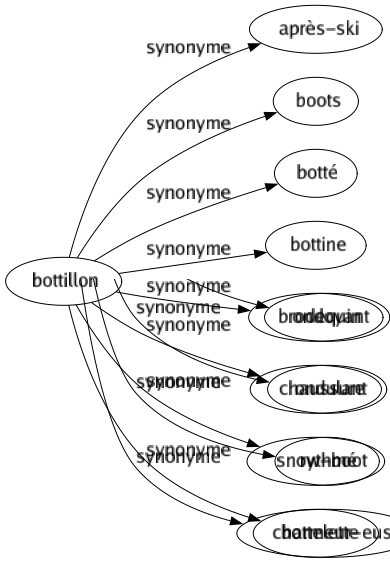 Synonyme de Bottillon : Après-ski Boots Botté Bottine Brodequin Chaussure Snow-boot Bottelette 