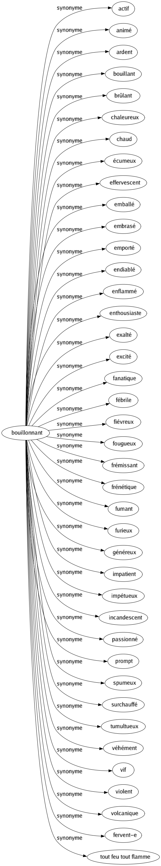 Synonyme de Bouillonnant : Actif Animé Ardent Bouillant Brûlant Chaleureux Chaud Écumeux Effervescent Emballé Embrasé Emporté Endiablé Enflammé Enthousiaste Exalté Excité Fanatique Fébrile Fiévreux Fougueux Frémissant Frénétique Fumant Furieux Généreux Impatient Impétueux Incandescent Passionné Prompt Spumeux Surchauffé Tumultueux Véhément Vif Violent Volcanique Fervent-e Tout feu tout flamme 