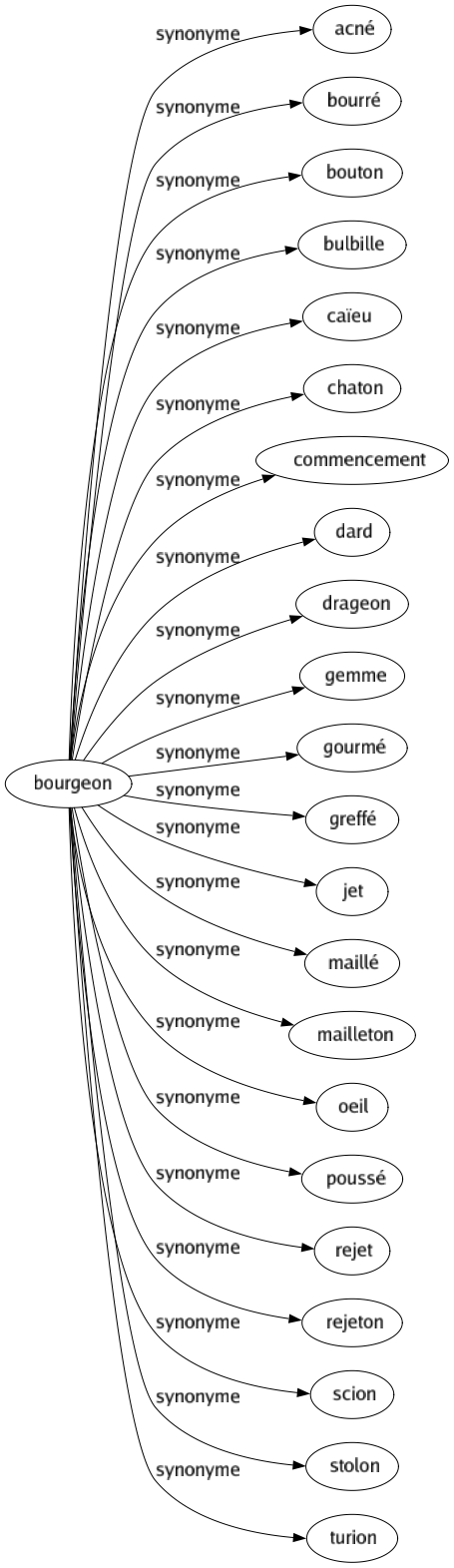 Synonyme de Bourgeon : Acné Bourré Bouton Bulbille Caïeu Chaton Commencement Dard Drageon Gemme Gourmé Greffé Jet Maillé Mailleton Oeil Poussé Rejet Rejeton Scion Stolon Turion 