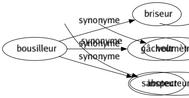 Synonyme de Bousilleur : Briseur Gâcheur Saboteur 