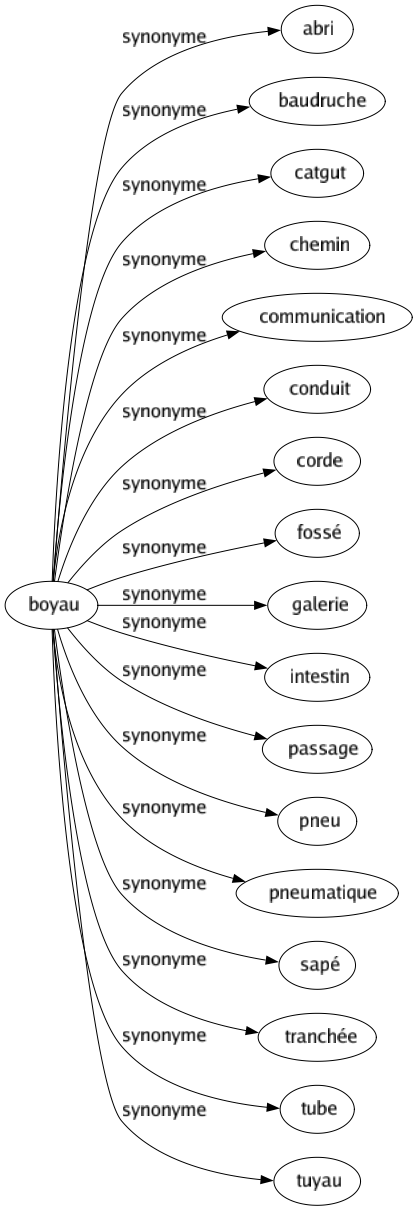 Synonyme de Boyau : Abri Baudruche Catgut Chemin Communication Conduit Corde Fossé Galerie Intestin Passage Pneu Pneumatique Sapé Tranchée Tube Tuyau 
