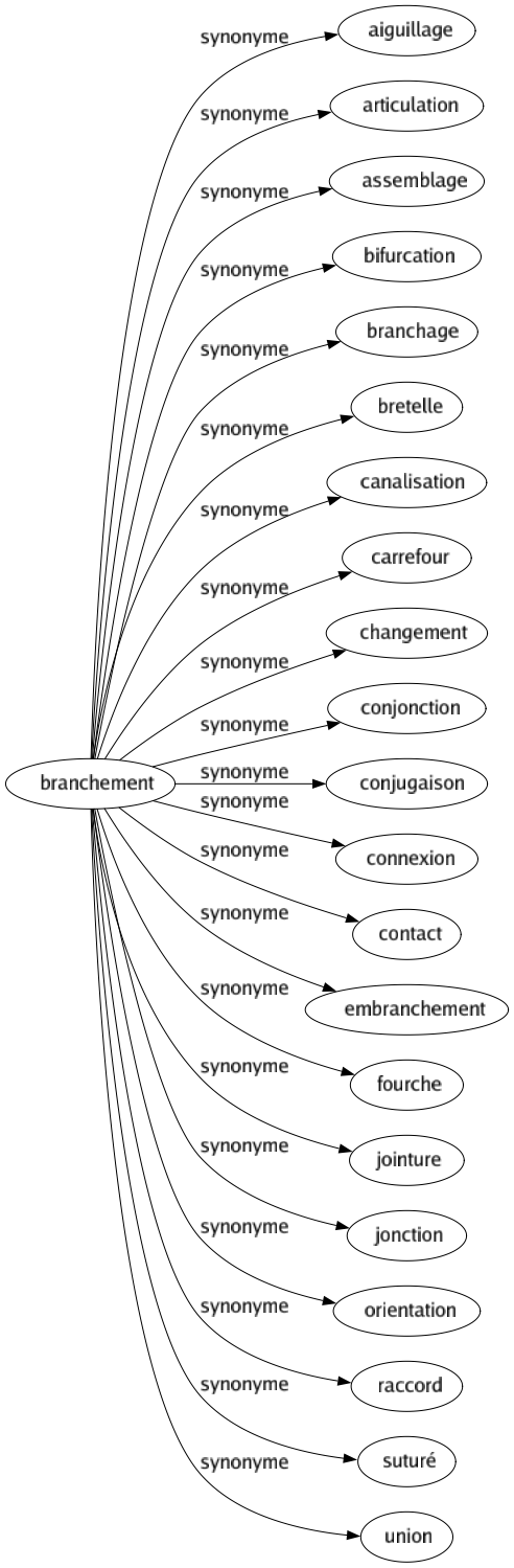 Synonyme de Branchement : Aiguillage Articulation Assemblage Bifurcation Branchage Bretelle Canalisation Carrefour Changement Conjonction Conjugaison Connexion Contact Embranchement Fourche Jointure Jonction Orientation Raccord Suturé Union 