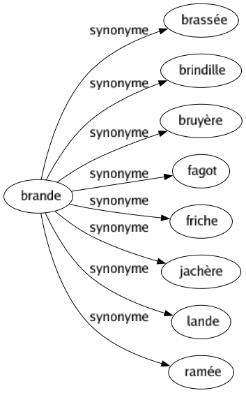 Synonyme de Brande : Brassée Brindille Bruyère Fagot Friche Jachère Lande Ramée 