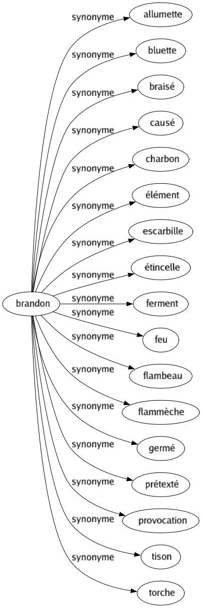 Synonyme de Brandon : Allumette Bluette Braisé Causé Charbon Élément Escarbille Étincelle Ferment Feu Flambeau Flammèche Germé Prétexté Provocation Tison Torche 
