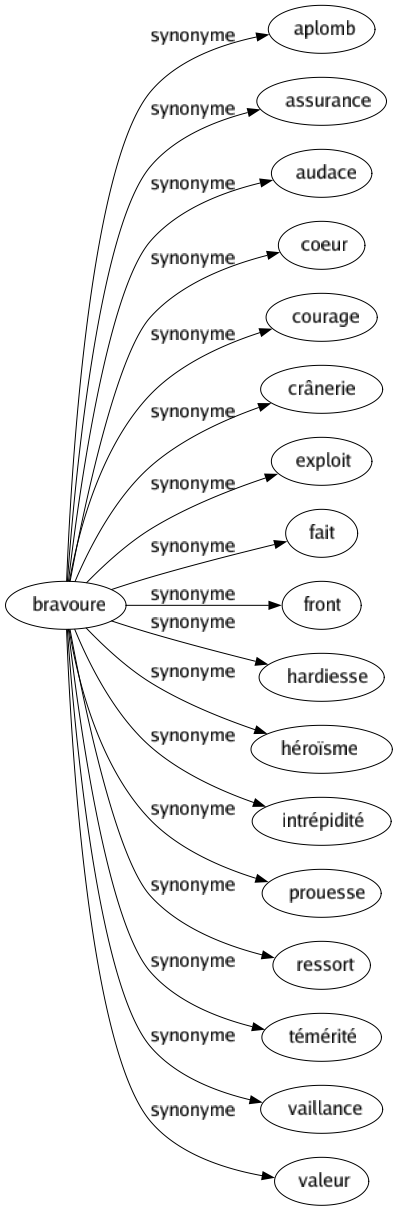 Synonyme de Bravoure : Aplomb Assurance Audace Coeur Courage Crânerie Exploit Fait Front Hardiesse Héroïsme Intrépidité Prouesse Ressort Témérité Vaillance Valeur 
