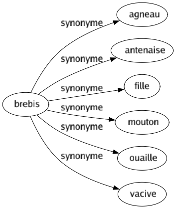 Synonyme de Brebis : Agneau Antenaise Fille Mouton Ouaille Vacive 