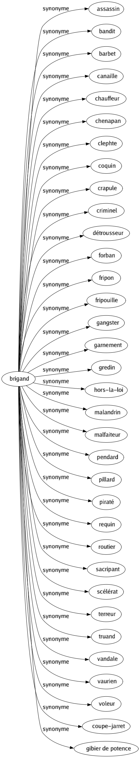 Synonyme de Brigand : Assassin Bandit Barbet Canaille Chauffeur Chenapan Clephte Coquin Crapule Criminel Détrousseur Forban Fripon Fripouille Gangster Garnement Gredin Hors-la-loi Malandrin Malfaiteur Pendard Pillard Piraté Requin Routier Sacripant Scélérat Terreur Truand Vandale Vaurien Voleur Coupe-jarret Gibier de potence 