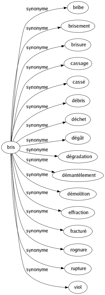Synonyme de Bris : Bribe Brisement Brisure Cassage Cassé Débris Déchet Dégât Dégradation Démantèlement Démolition Effraction Fracturé Rognure Rupture Viol 