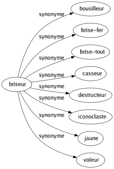 Synonyme de Briseur : Bousilleur Brise-fer Brise-tout Casseur Destructeur Iconoclaste Jaune Voleur 