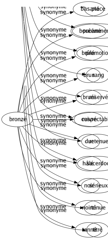 Synonyme de Bronzé : Basané Boucane Brûlé Brun Bruni Cuivré Dur Hâlé Noir Noirci Tanné 