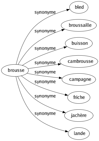 Synonyme de Brousse : Bled Broussaille Buisson Cambrousse Campagne Friche Jachère Lande 