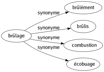 Synonyme de Brûlage : Brûlément Brûlis Combustion Écobuage 