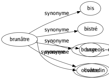 Synonyme de Brunâtre : Bis Bistré Brun Olivâtre 