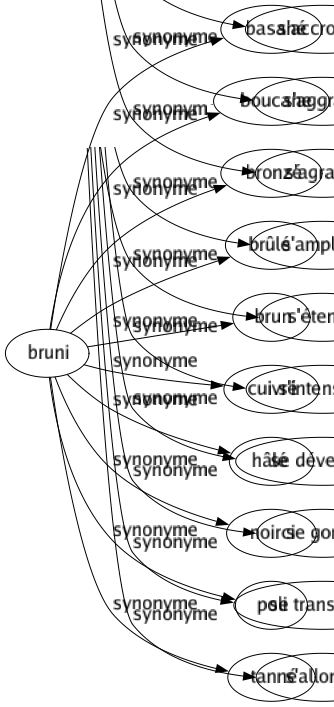 Synonyme de Bruni : Basané Boucane Bronzé Brûlé Brun Cuivré Hâlé Noirci Poli Tanné 